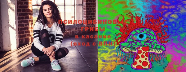 эйфоретик Алексин