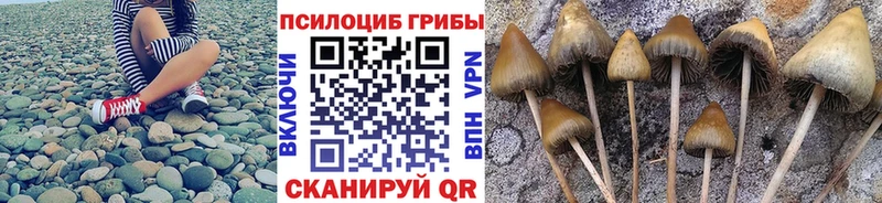 Галлюциногенные грибы Psilocybine cubensis  kraken ONION  это как зайти  Губкин 